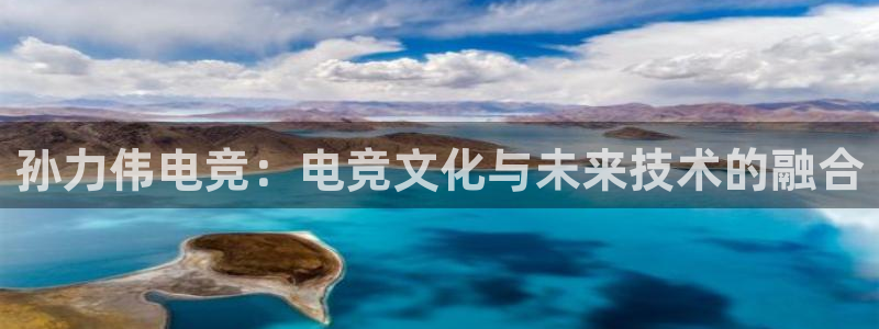 乐竞电竞体育官网：孙力伟电竞：电竞文化与未来技术的融合