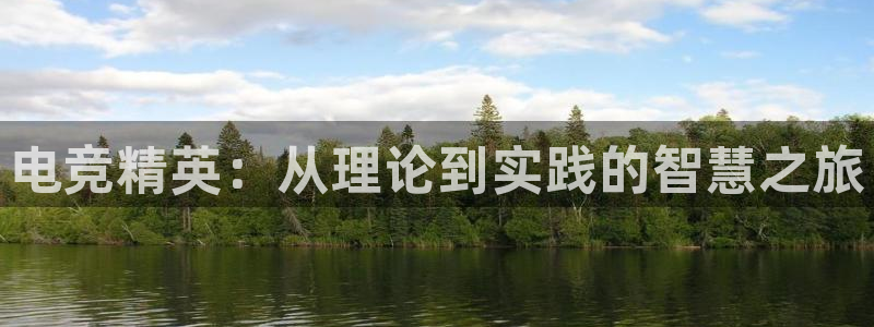 乐竞电竞实训中心收费标准：电竞精英：从理论到实践的智慧之旅