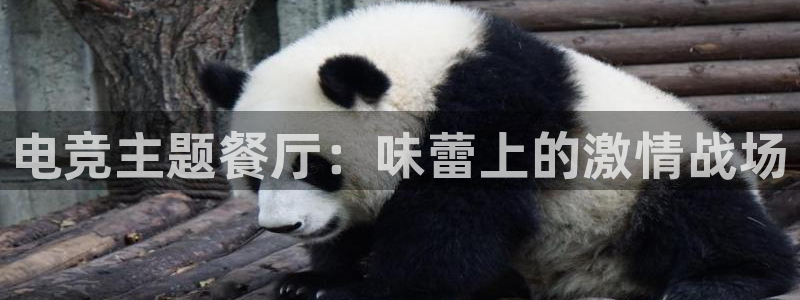 乐竞电竞锁定金额：电竞主题餐厅：味蕾上的激情战场