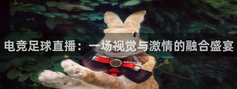 乐竞电竞锁定金额：电竞足球直播：一场视觉与激情的融合盛宴