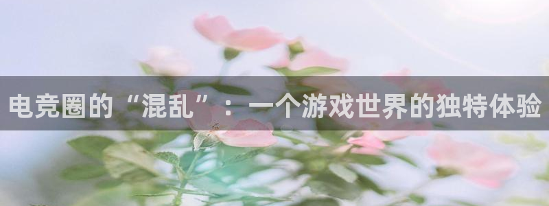 乐竞电竞实训中心收费标准：电竞圈的“混乱”：一个游戏世界的独特体验