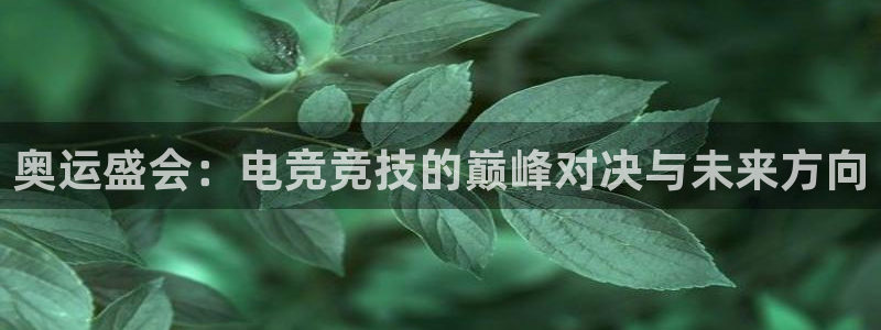 乐竞电竞青训基地怎么样：奥运盛会：电竞竞技的巅峰对决与未来方向