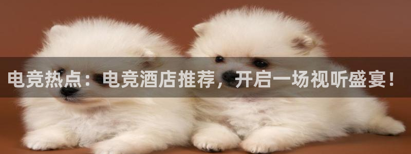 乐竞电竞官网入口：电竞热点：电竞酒店推荐，开启一场视听盛宴！