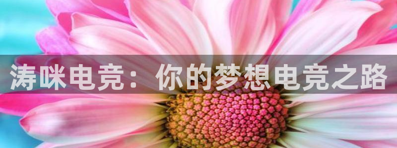 乐竞电竞锁定金额：涛咪电竞：你的梦想电竞之路
