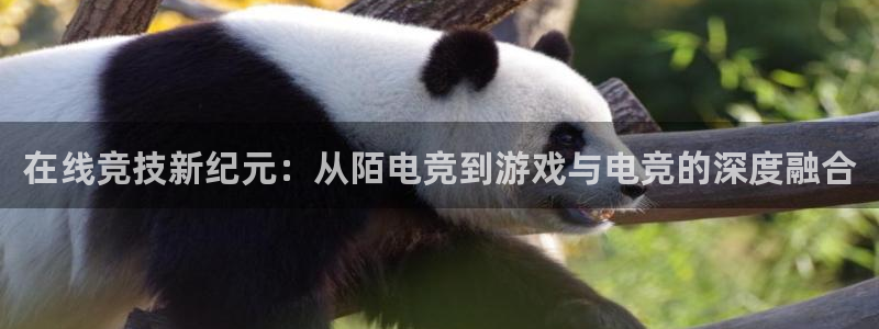 乐竞电竞官网：在线竞技新纪元：从陌电竞到游戏与电竞的深度融合