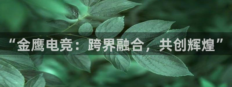 乐竞电竞体育官网：“金鹰电竞：跨界融合，共创辉煌”