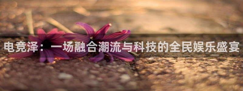 乐竞电竞实训中心收费标准：电竞泽：一场融合潮流与科技的全民娱乐盛宴