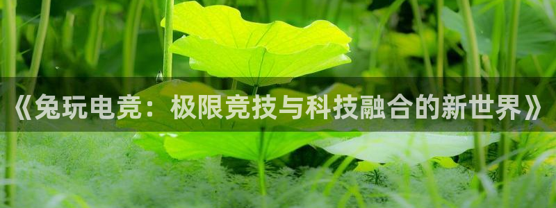成都乐竞电竞：《兔玩电竞：极限竞技与科技融合的新世界》