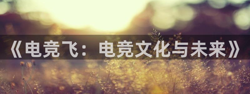乐竞电竞平台：《电竞飞：电竞文化与未来》